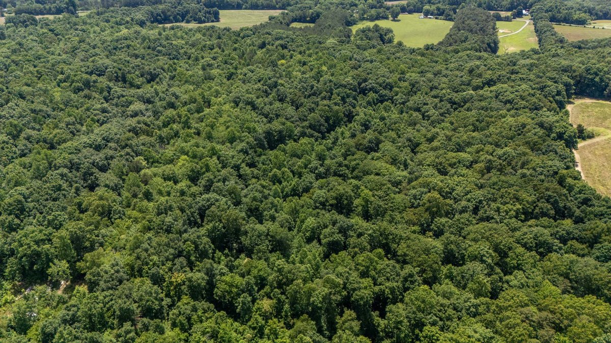 Image for 3772 Pea Ridge Rd, DeKalb County