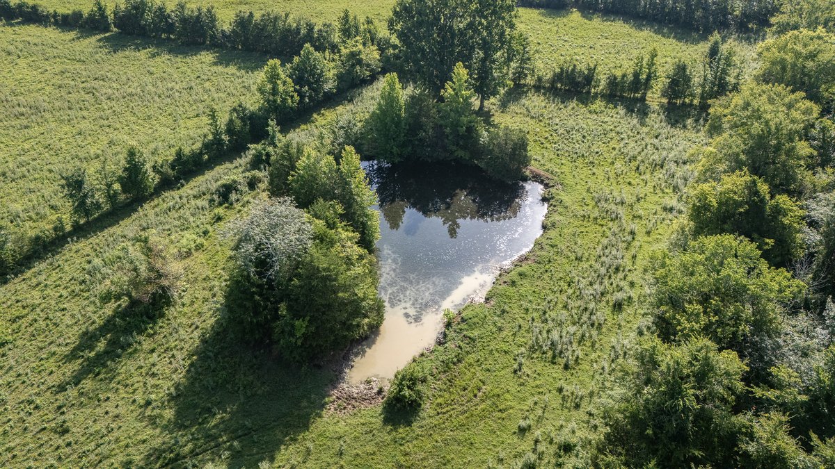 Image for 483 Stones River Lane, Murfreesboro