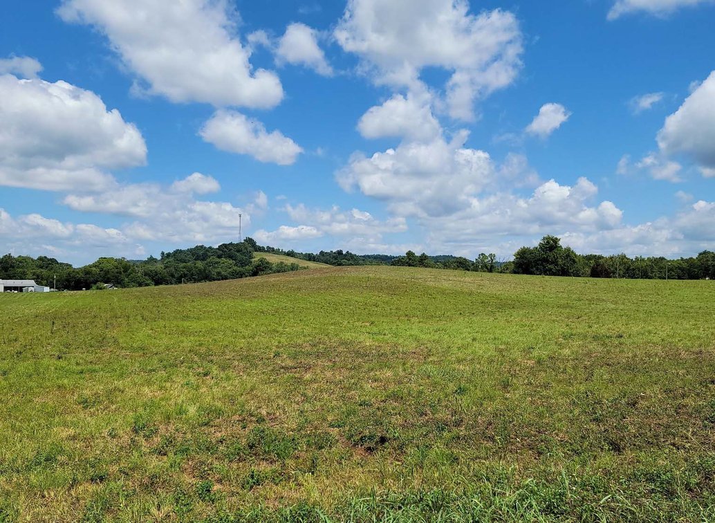Image for 1401 Oscar Crowell Rd, Beechgrove