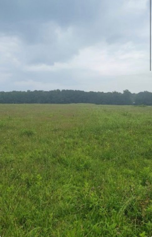 Image for 6002 Fredonia Road, Manchester