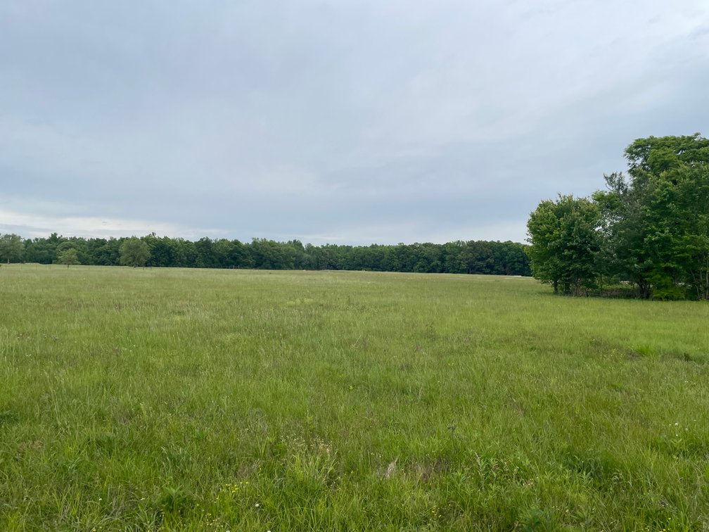 Image for 6002 Fredonia Road, Manchester