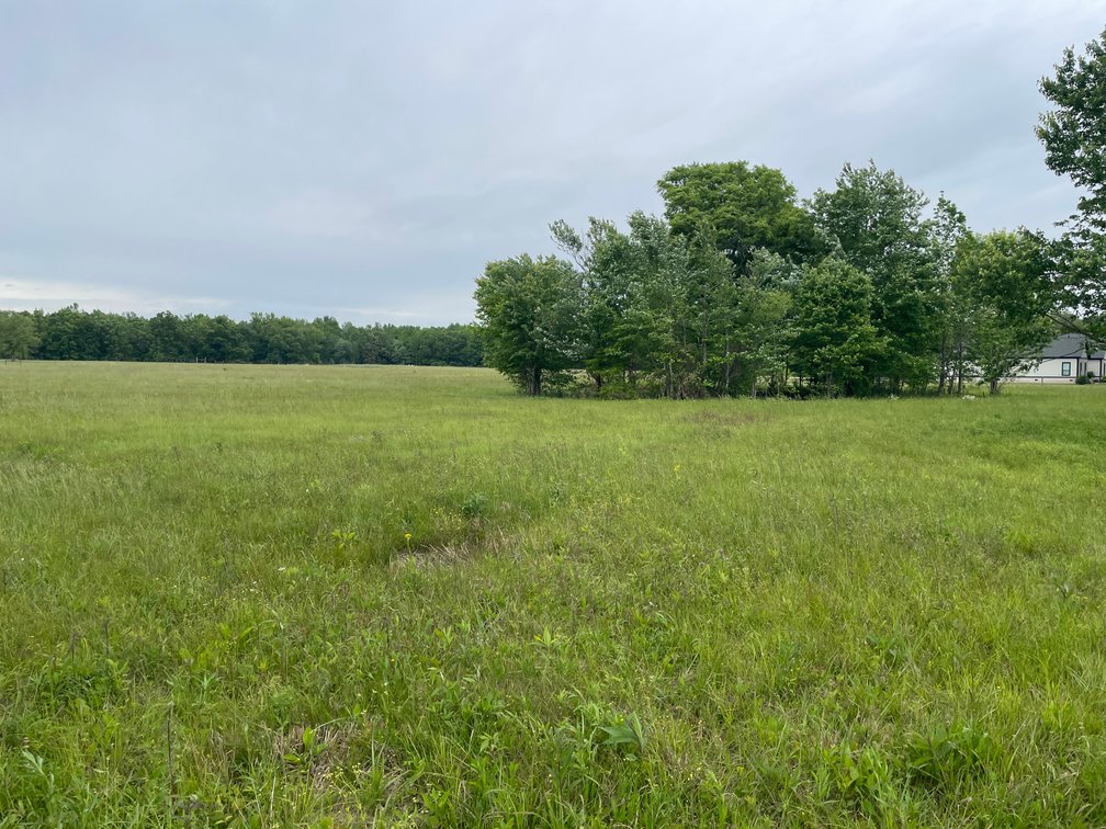 Image for 6002 Fredonia Road, Manchester