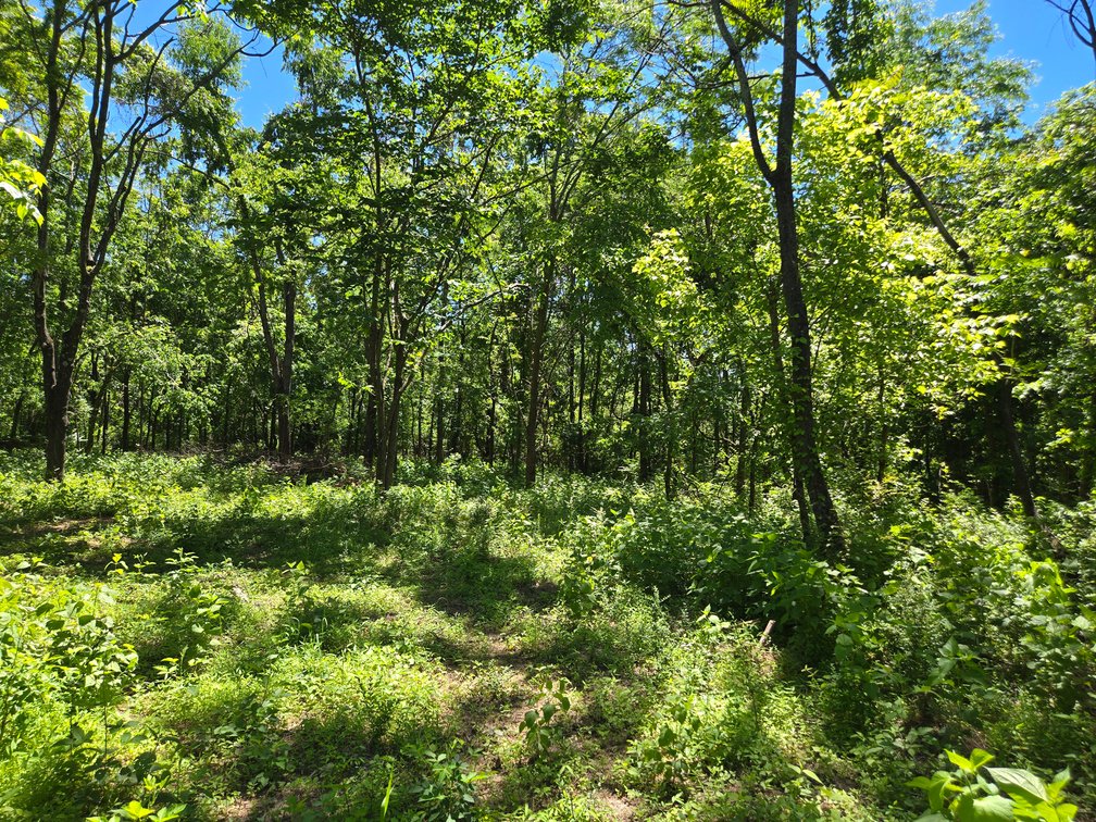 Image for 18 Dry Creek Road, Goodlettsville