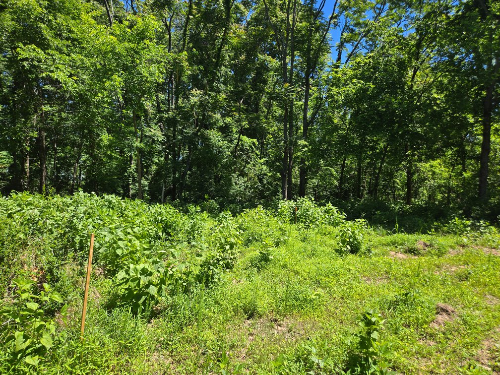 Image for 18 Dry Creek Road, Goodlettsville