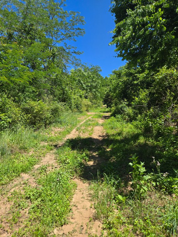 Image for 18 Dry Creek Road, Goodlettsville