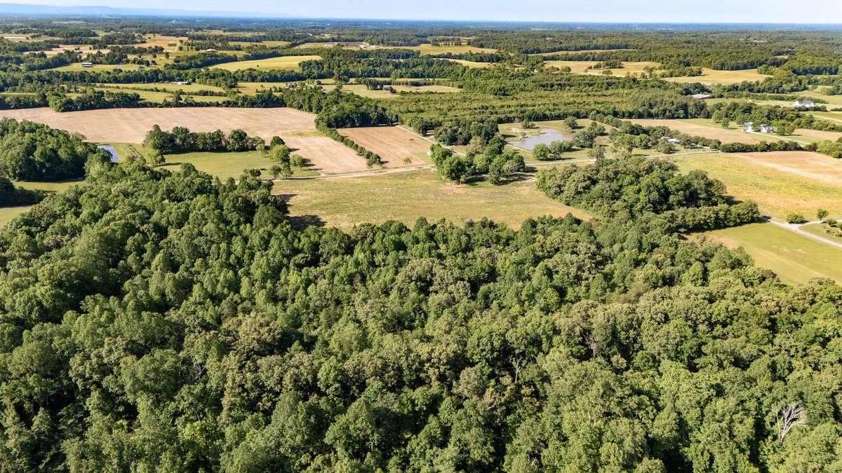 Image for 520 Ferrell Road, Smithville