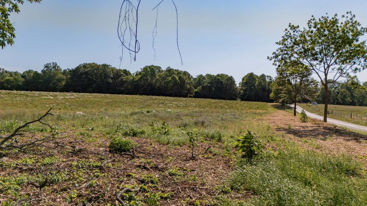 Image for 520 Ferrell Road, Smithville
