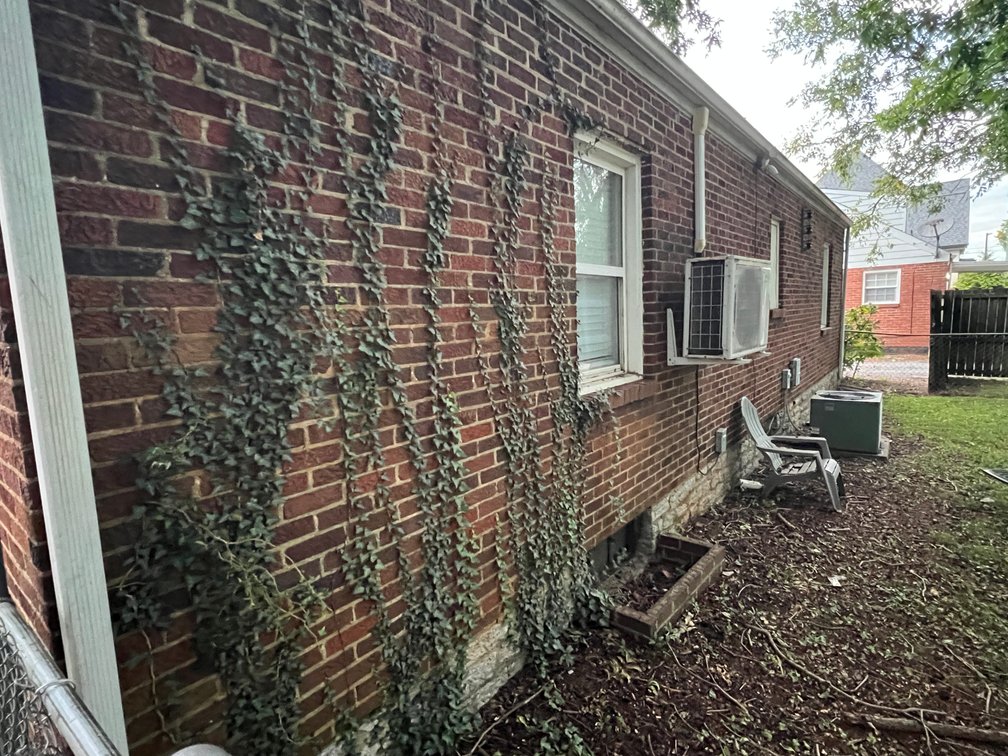 Image for 1202-1204-1208 N. Maple Street, Murfreesboro