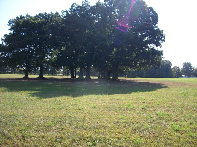 Image for Highway 53 & Iconium Road, Woodbury