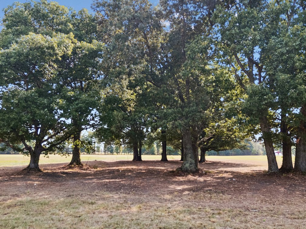 Image for Highway 53 & Iconium Road, Woodbury