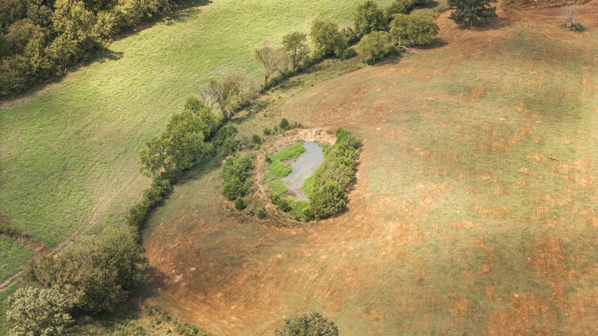 Image for 6171 Dug Hollow Road, Bradyville