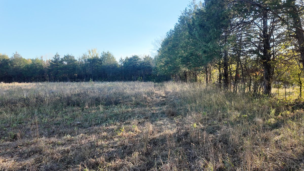 Image for 44 Cindy Lane, Readyville