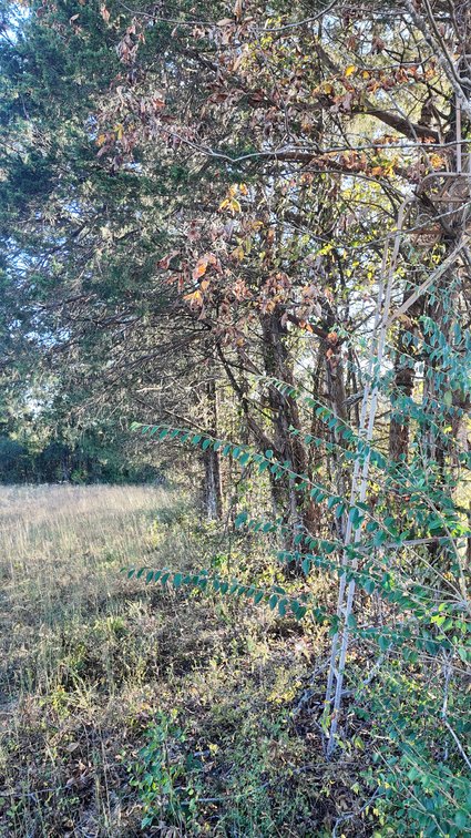 Image for 44 Cindy Lane, Readyville