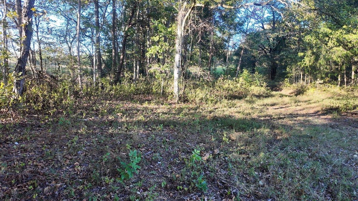 Image for 44 Cindy Lane, Readyville