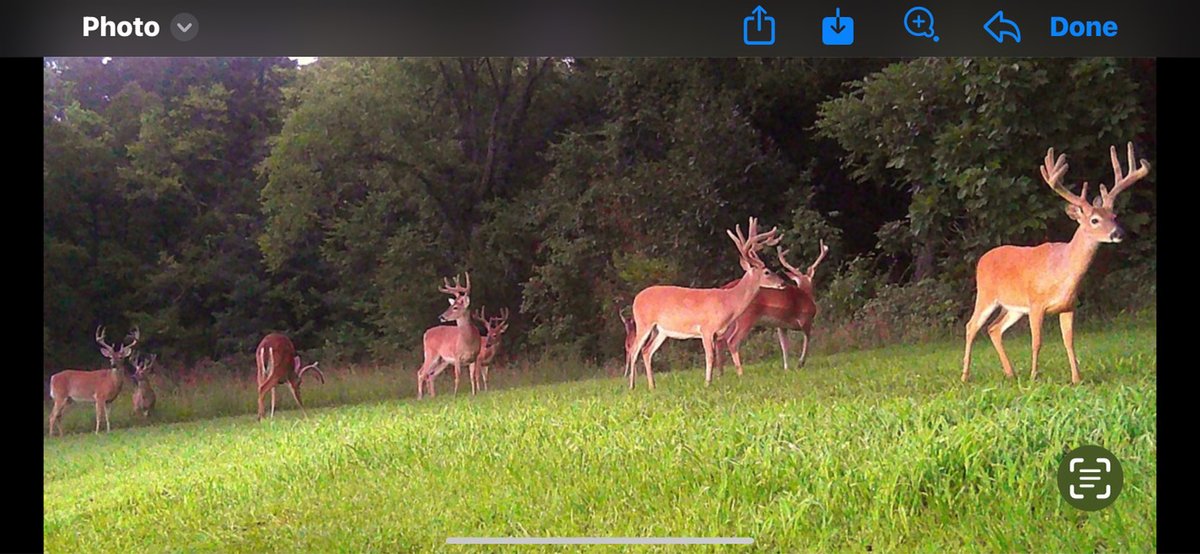 Image for 0 Highway 130 West, Bedford County