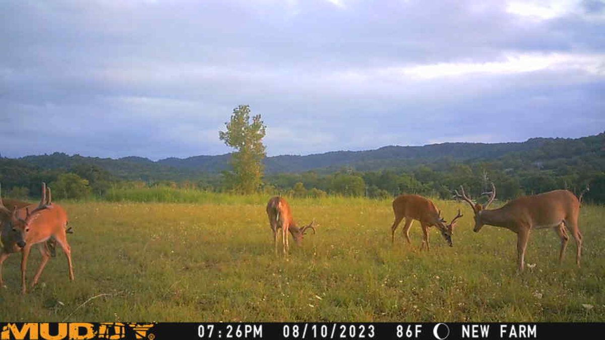 Image for 0 Highway 130 West, Bedford County