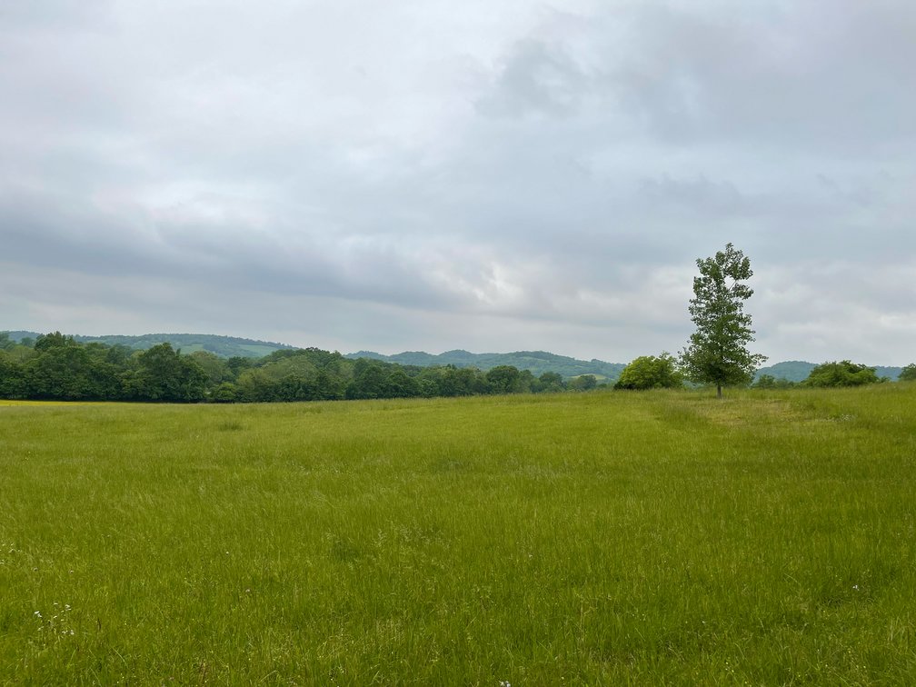 Image for 0 Highway 130 West, Bedford County
