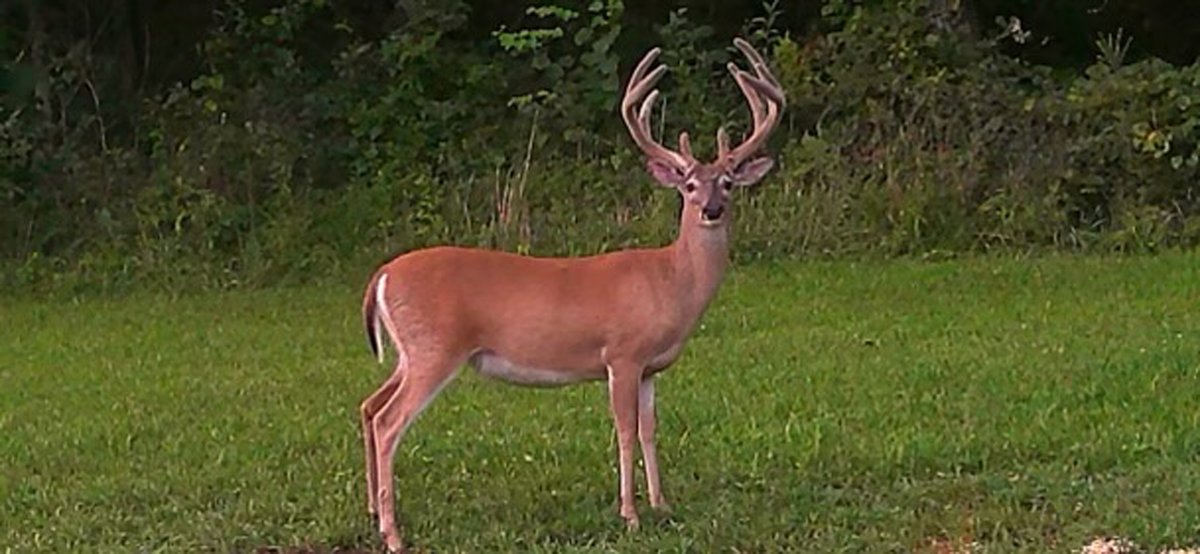 Image for 0 Highway 130 West, Bedford County