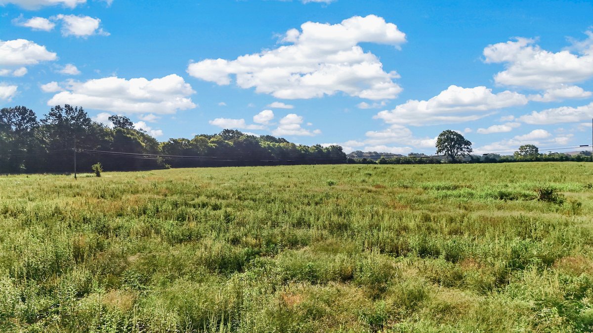 Image for Holly Grove Road, Lascassas