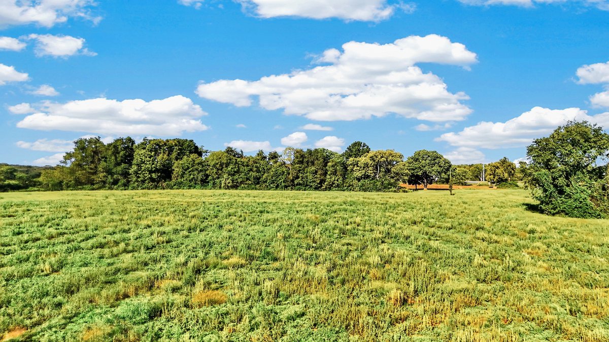 Image for Holly Grove Road, Lascassas