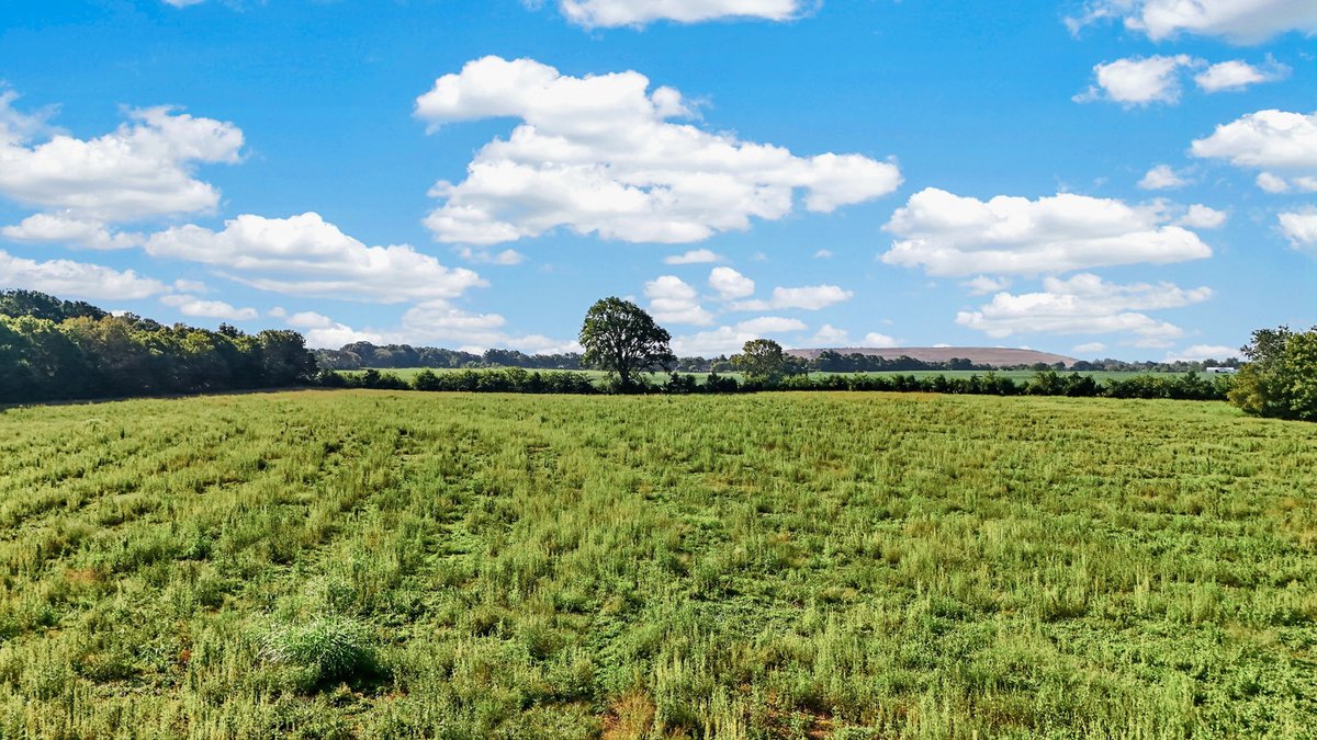 Image for Holly Grove Road, Lascassas