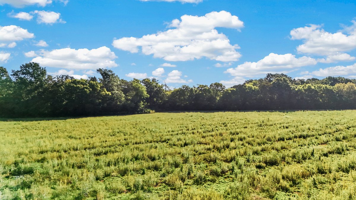 Image for Holly Grove Road, Lascassas