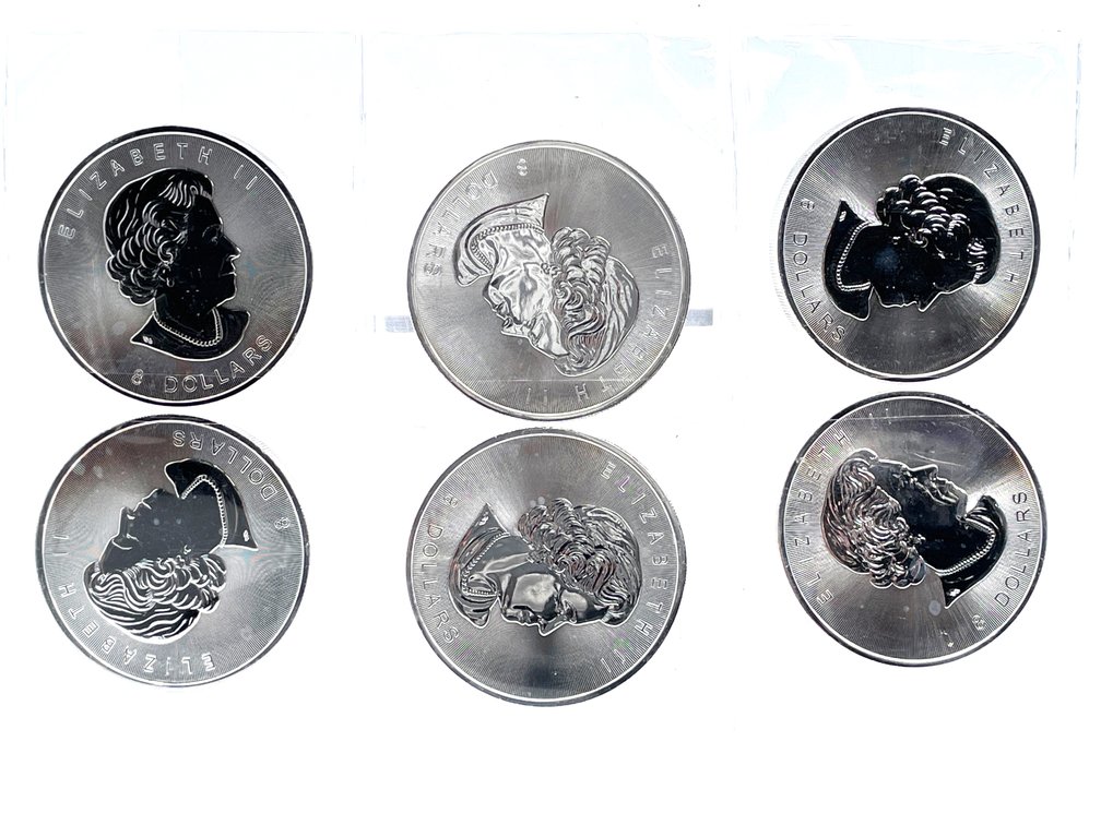Six 2015 Canadian $8 Bisons - 1.25 Ounce .9999 Fine Silver
