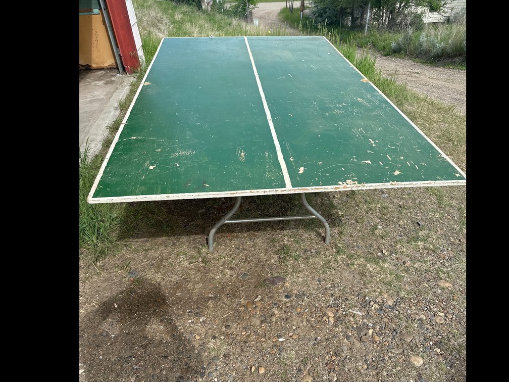 Ping Pong Table 