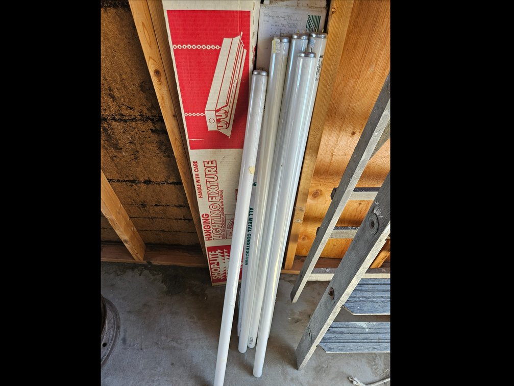 Fluorescent Bulbs