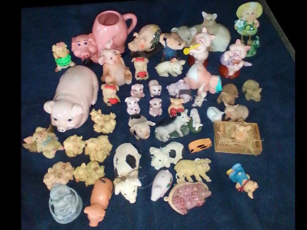 Pig Collection