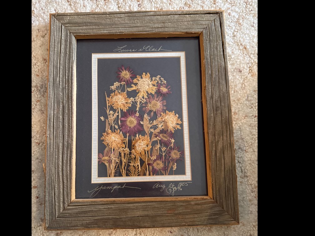 Dried Flower Shadow Box Picture