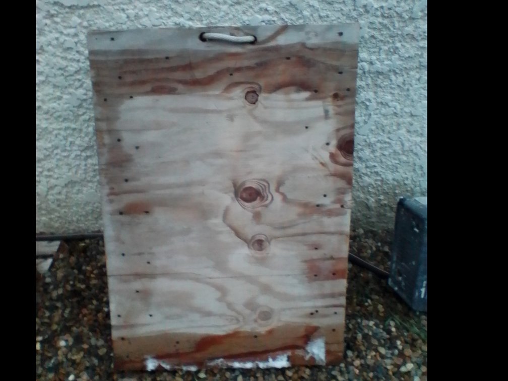 Flatwood dolly