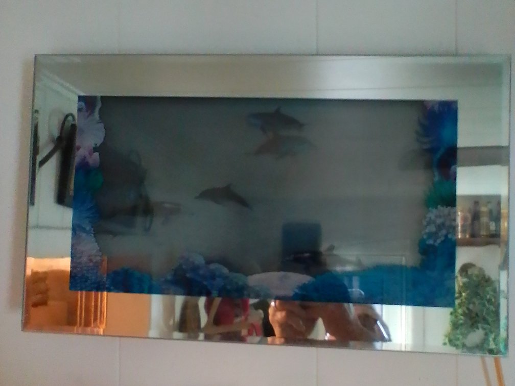 Motion dolphin light