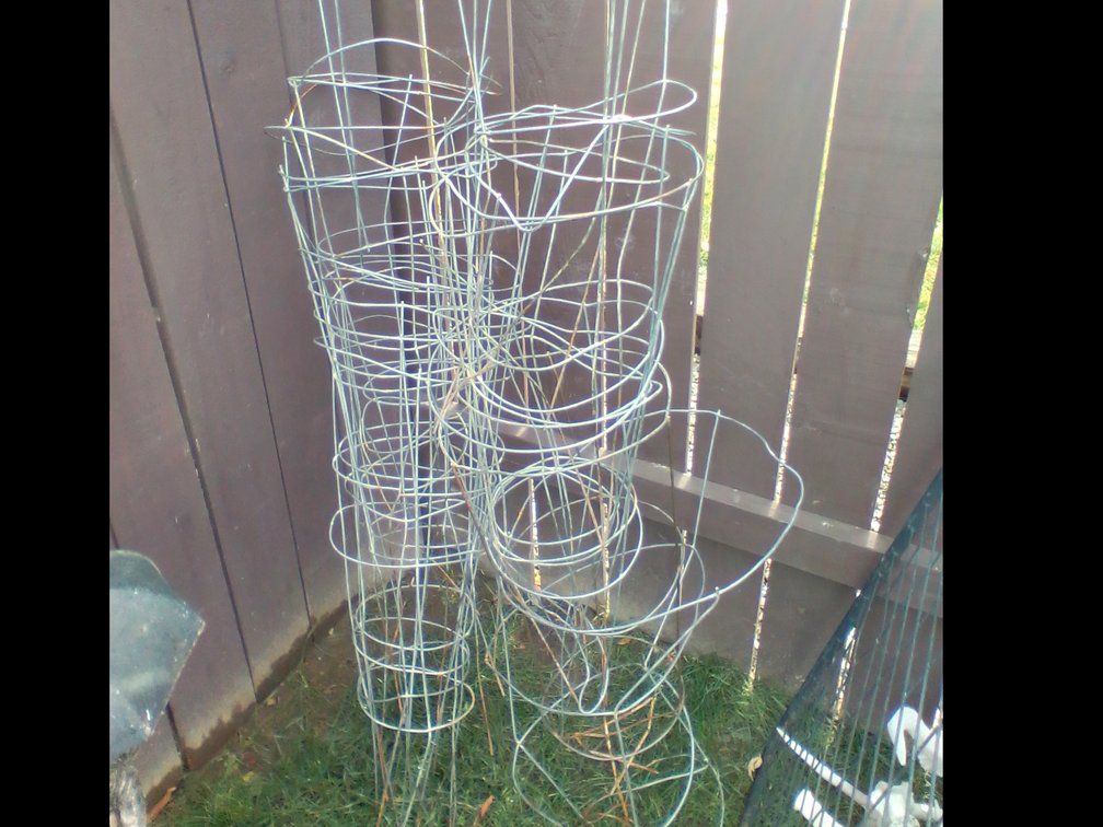 Tomato Cages