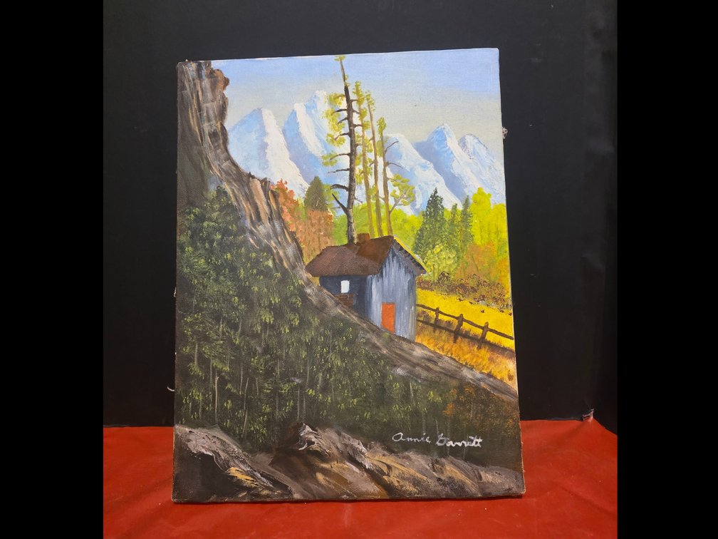 Mountain Cabin Picture
