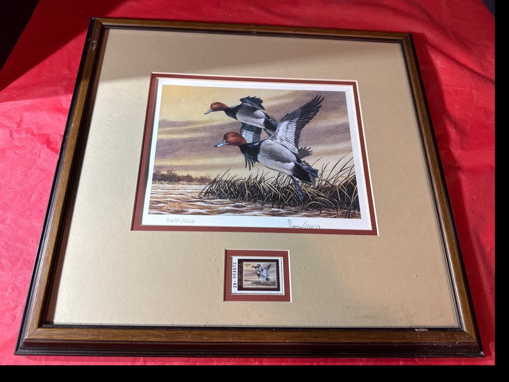 1987 Montana Stamp “Two Redheaded Ducks”