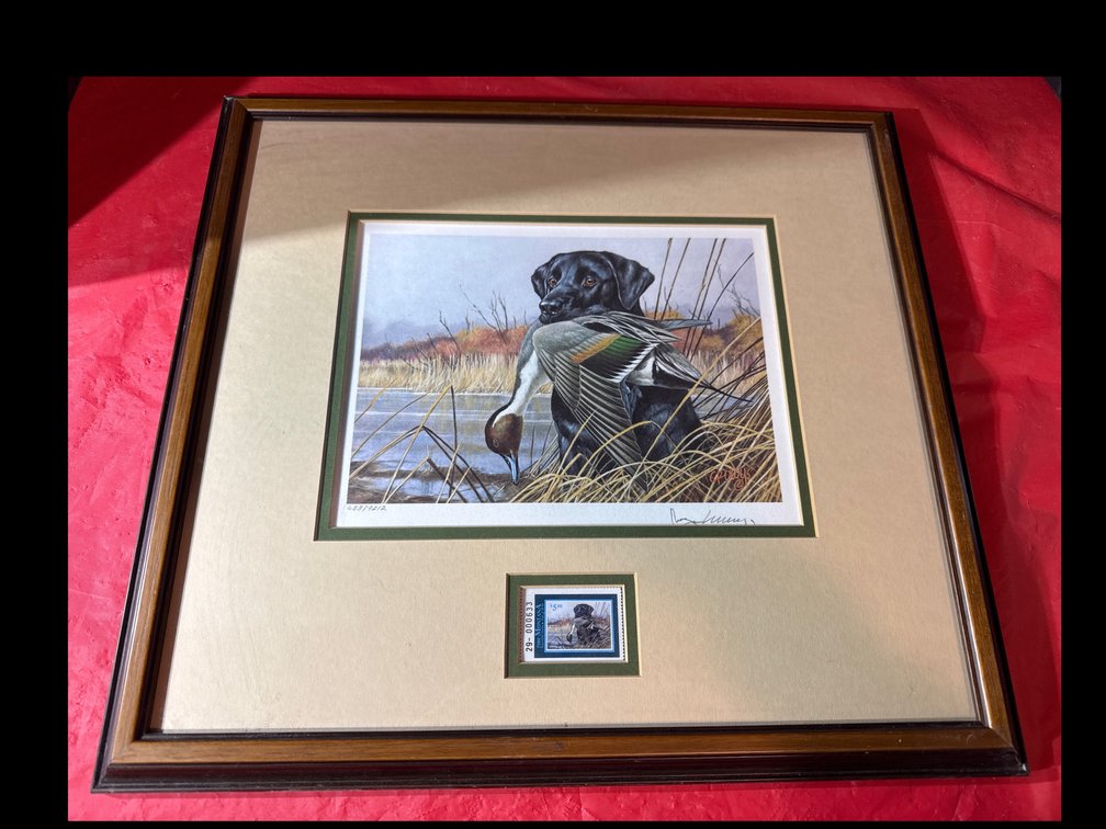 1989 Montana Stamp, Limited Edition Of A Northern Pintail Duck And Black Lab.