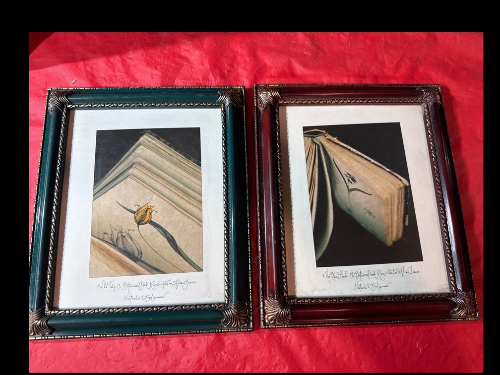 The “Book And Flower” Pictures