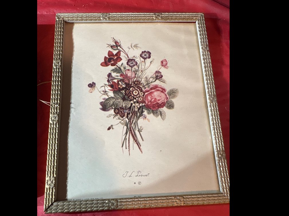 Botanical Floral Print