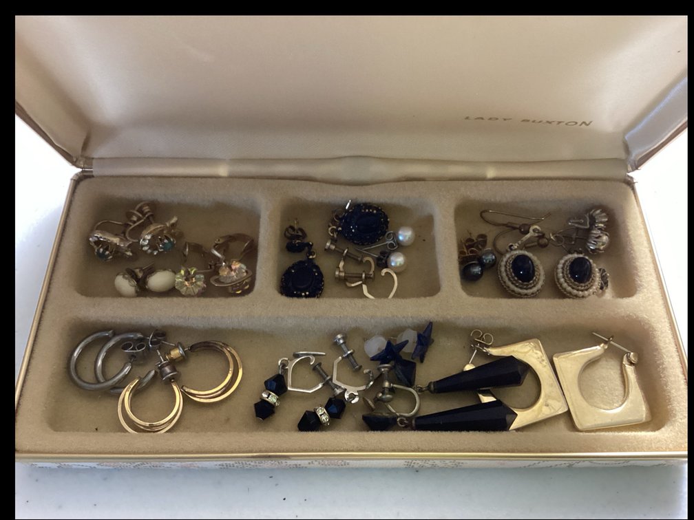 Costume Earrings
