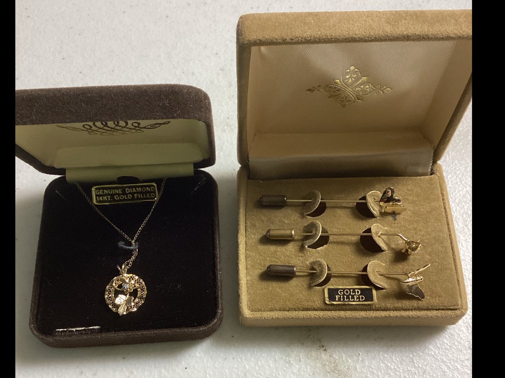 Gold Filled Necklace & Pins