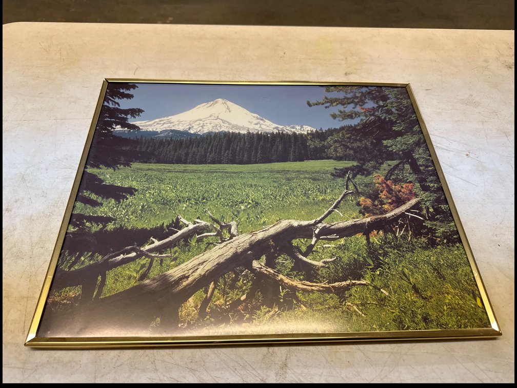 Laminated Print Of Scenic Landscape