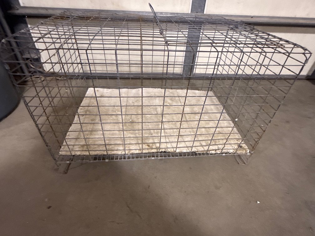 Bird Cage