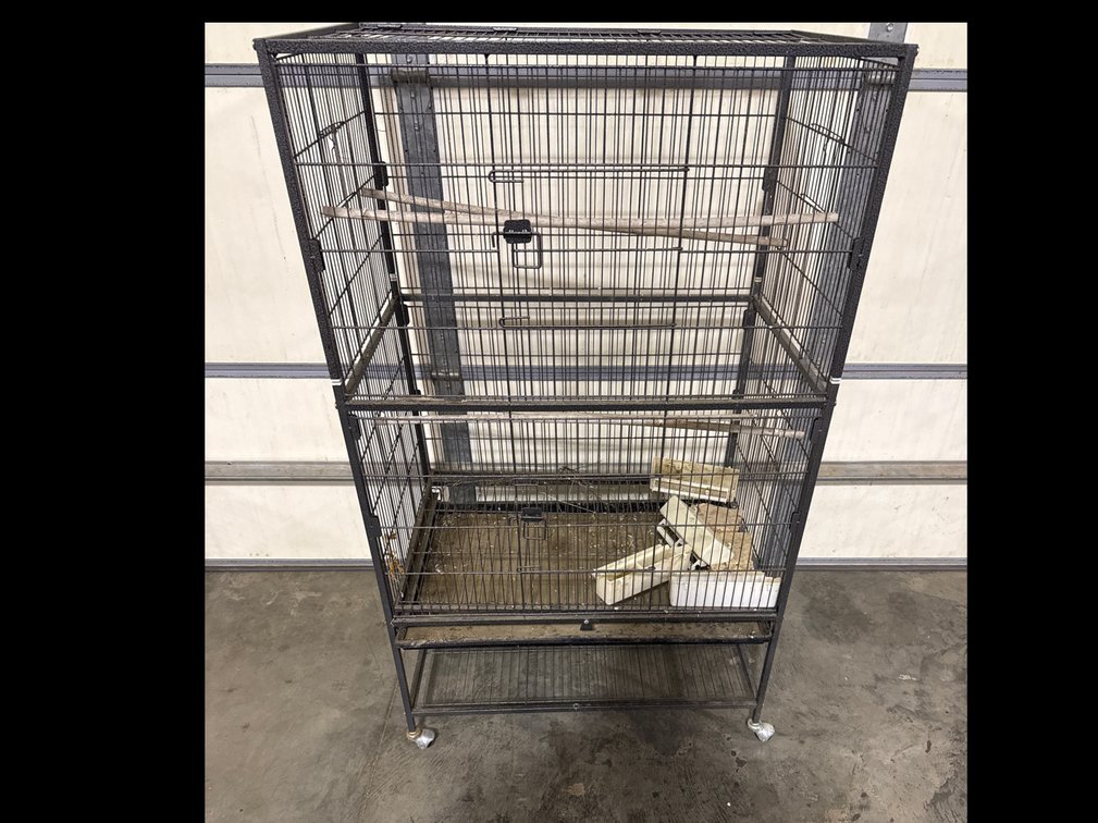 Bird Cage