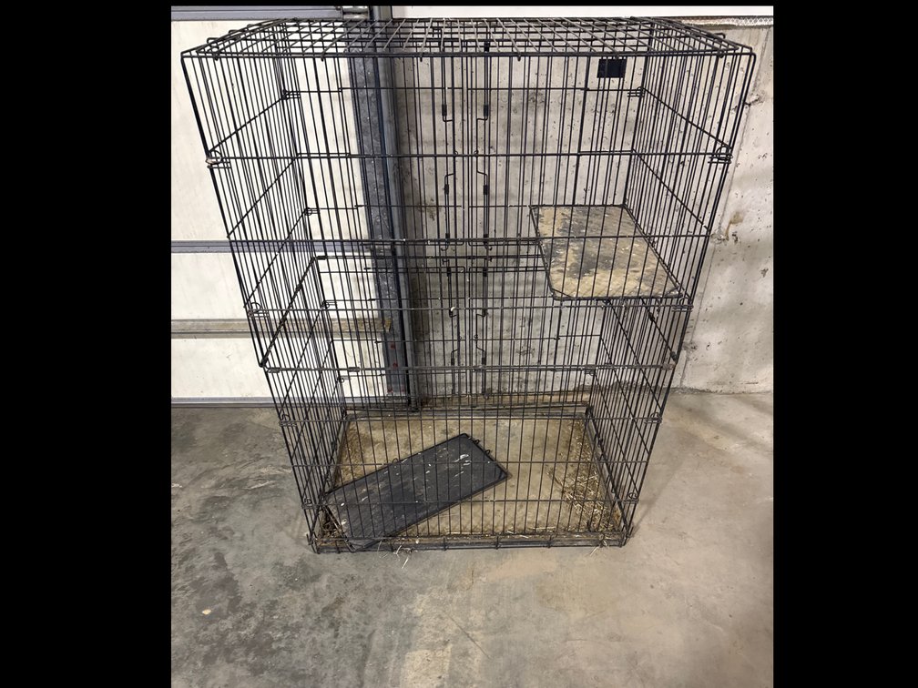 Bird Cage