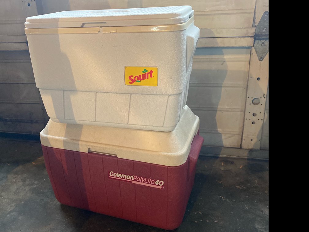 Coleman PolyLite40 Cooler & Igloo 32 Quart Cooler