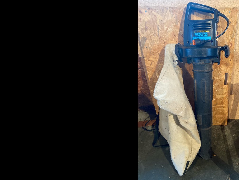 Craftsman Blower/Vac with Bag