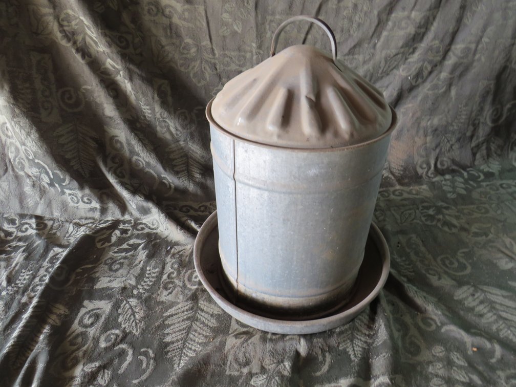2 Gallon Galvanized Chicken Watering Can
