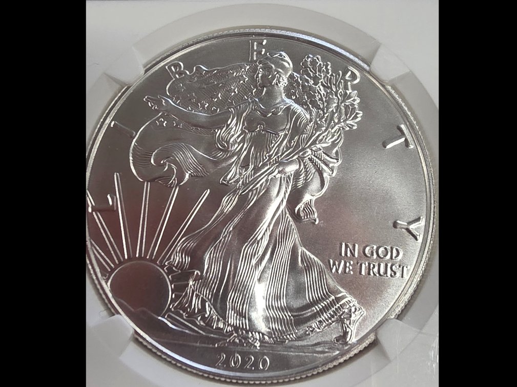 2020 Eagle Dollar