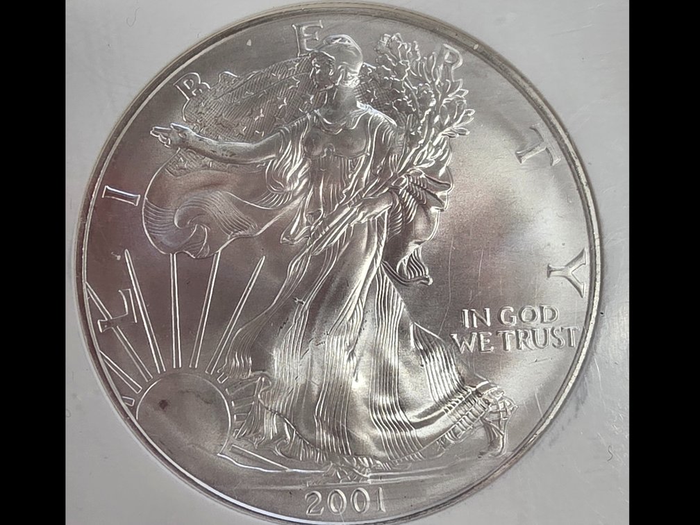 2001 Eagle DSilver Dollar